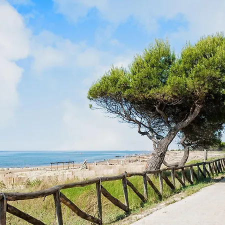 Daire Colorful Flat In A With Garden