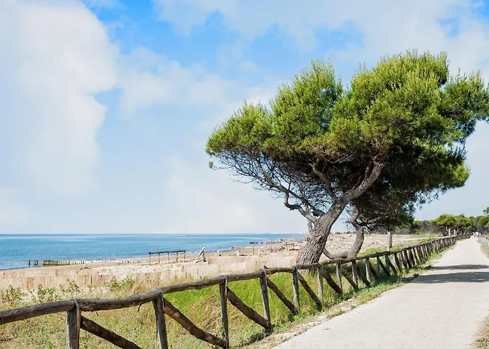 Daire Colorful Flat In A With Garden